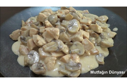 POLLO FUNGHİ