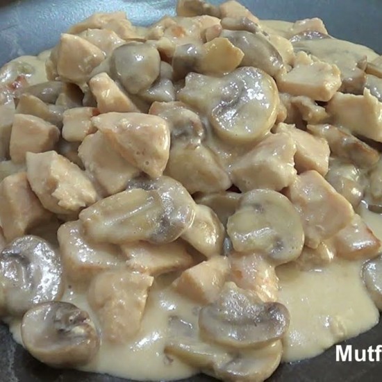 POLLO FUNGHİ